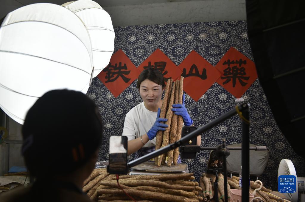 泛亚最新进展返还比例